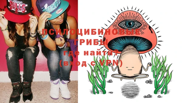 мяу мяу мука Абдулино