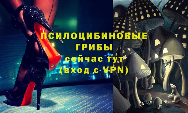 трава Абаза