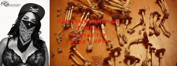 трава Абаза