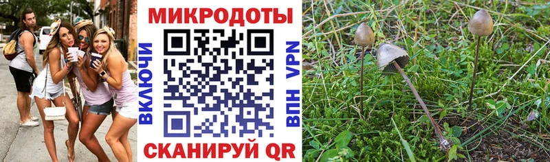 Псилоцибиновые грибы прущие грибы  Александровск 